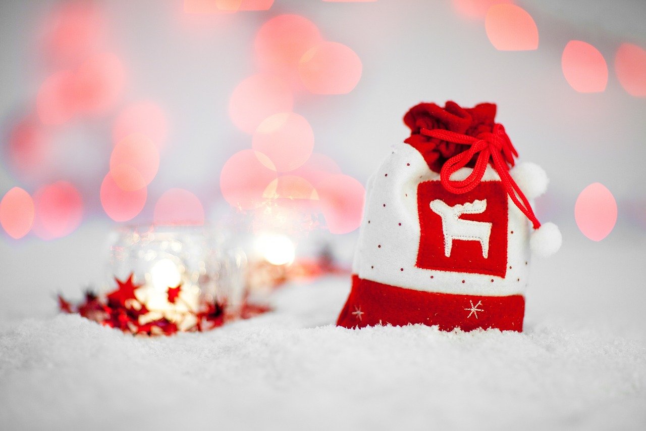 bag, celebration, christmas-21467.jpg